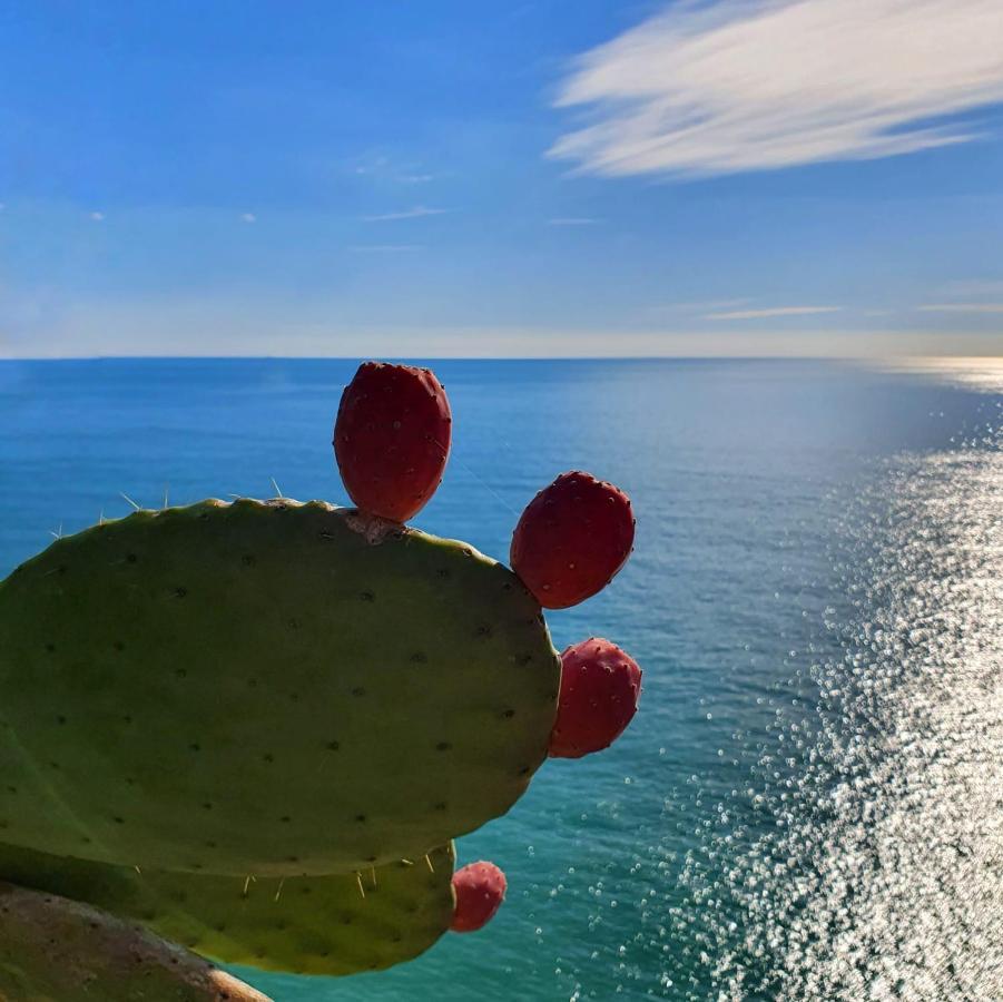 La Terrazza Sul Blu Apartment Corniglia Luaran gambar