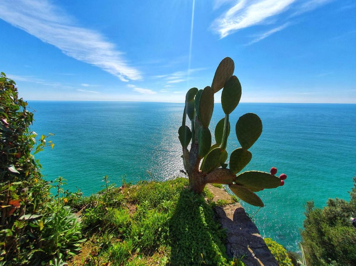 La Terrazza Sul Blu Apartment Corniglia Luaran gambar