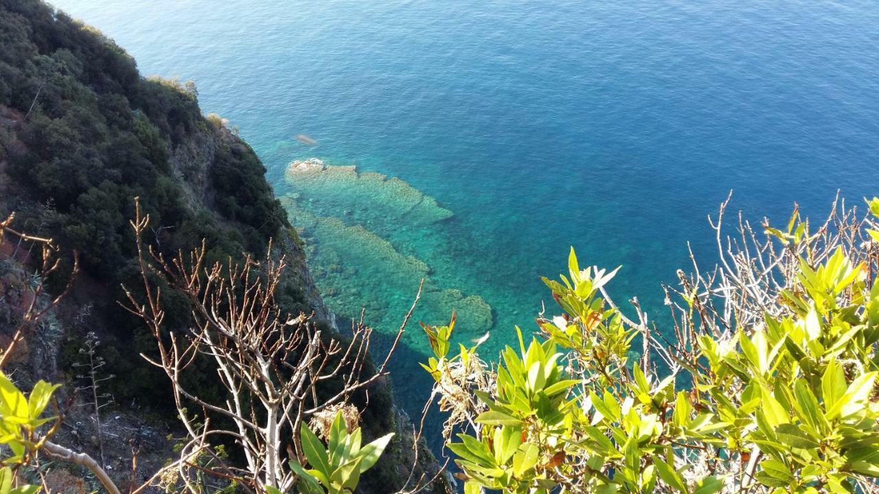 La Terrazza Sul Blu Apartment Corniglia Luaran gambar