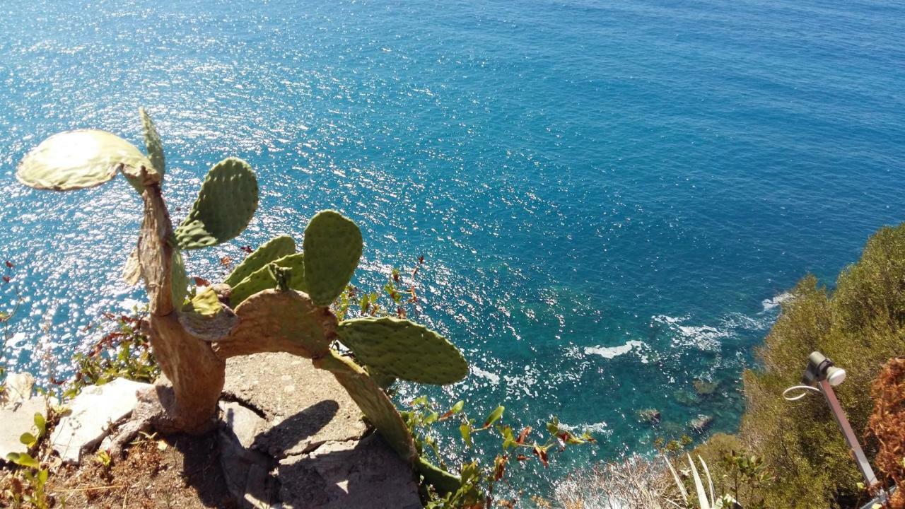 La Terrazza Sul Blu Apartment Corniglia Luaran gambar